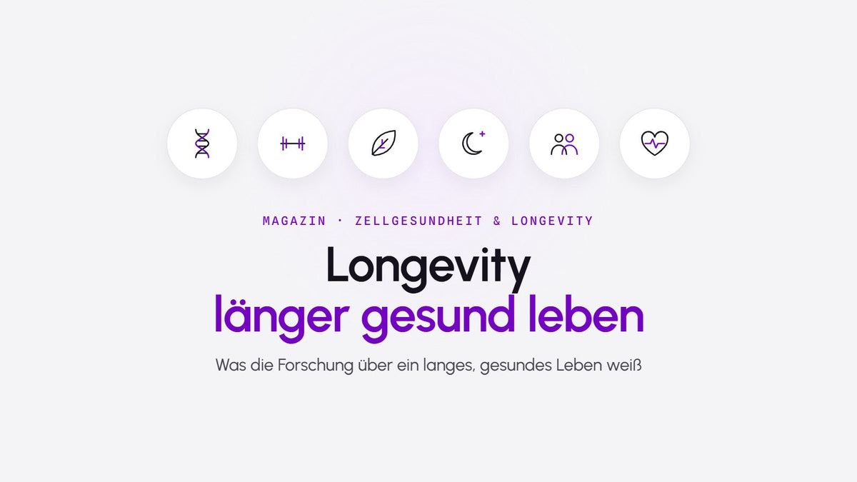 Grafik mit Symbolen für Erbgut, Bewegung, Ernährung, Schlaf, Gemeinschaft und Herzgesundheit zum Thema Longevity