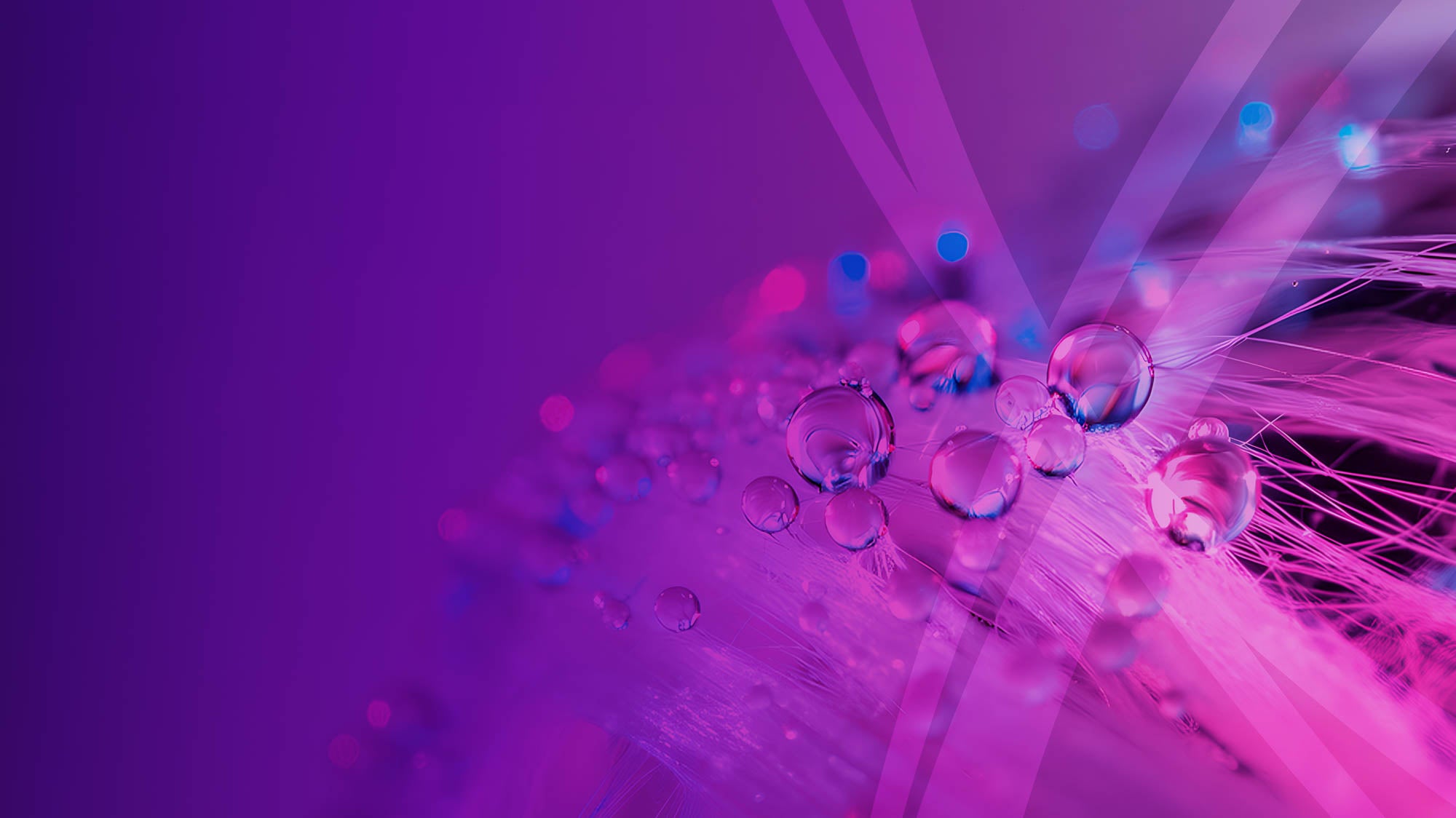 slider image 1621243260e1af0c20-0