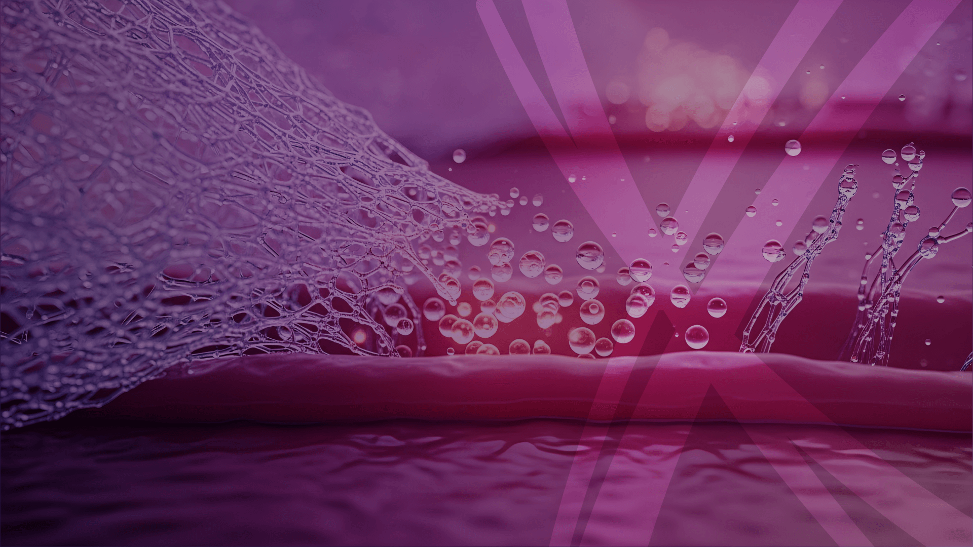 slider image 1621243260e1af0c20-0